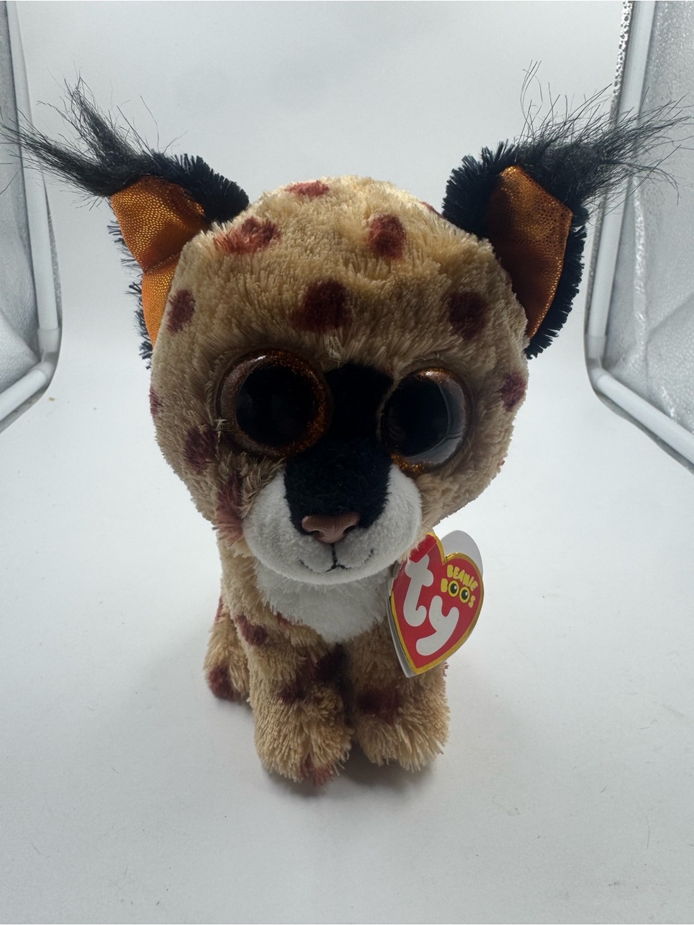 TY Beanie Boos 6" - BUCKWHEAT the LYNX - Glitter Eyes w/ Tag